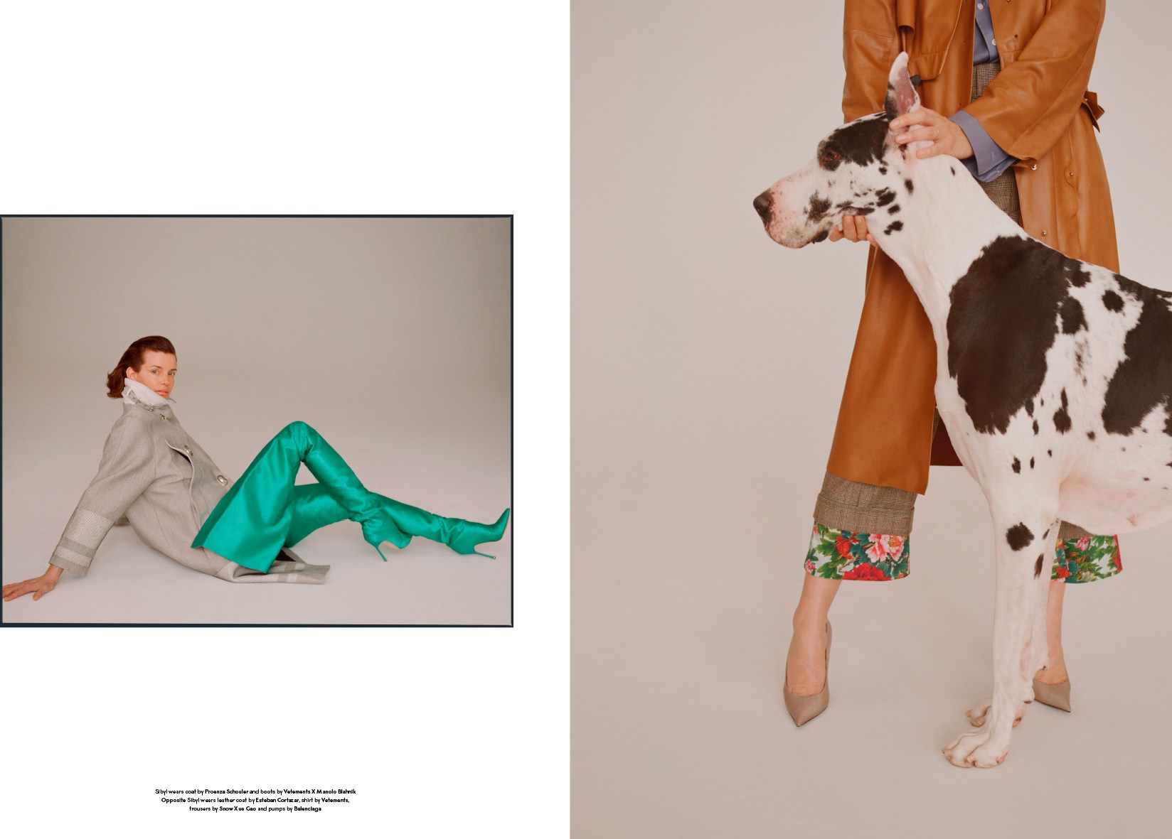 dario catellani,dogs dario catellani,dogs