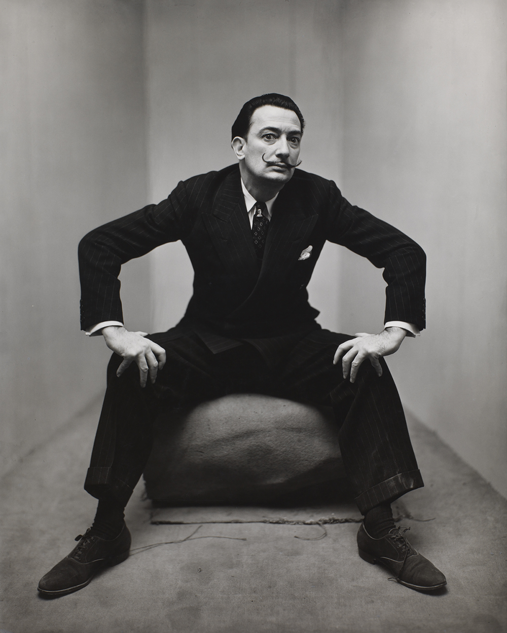 irving penn,salvador dali,portrait irving penn,salvador dali,portrait