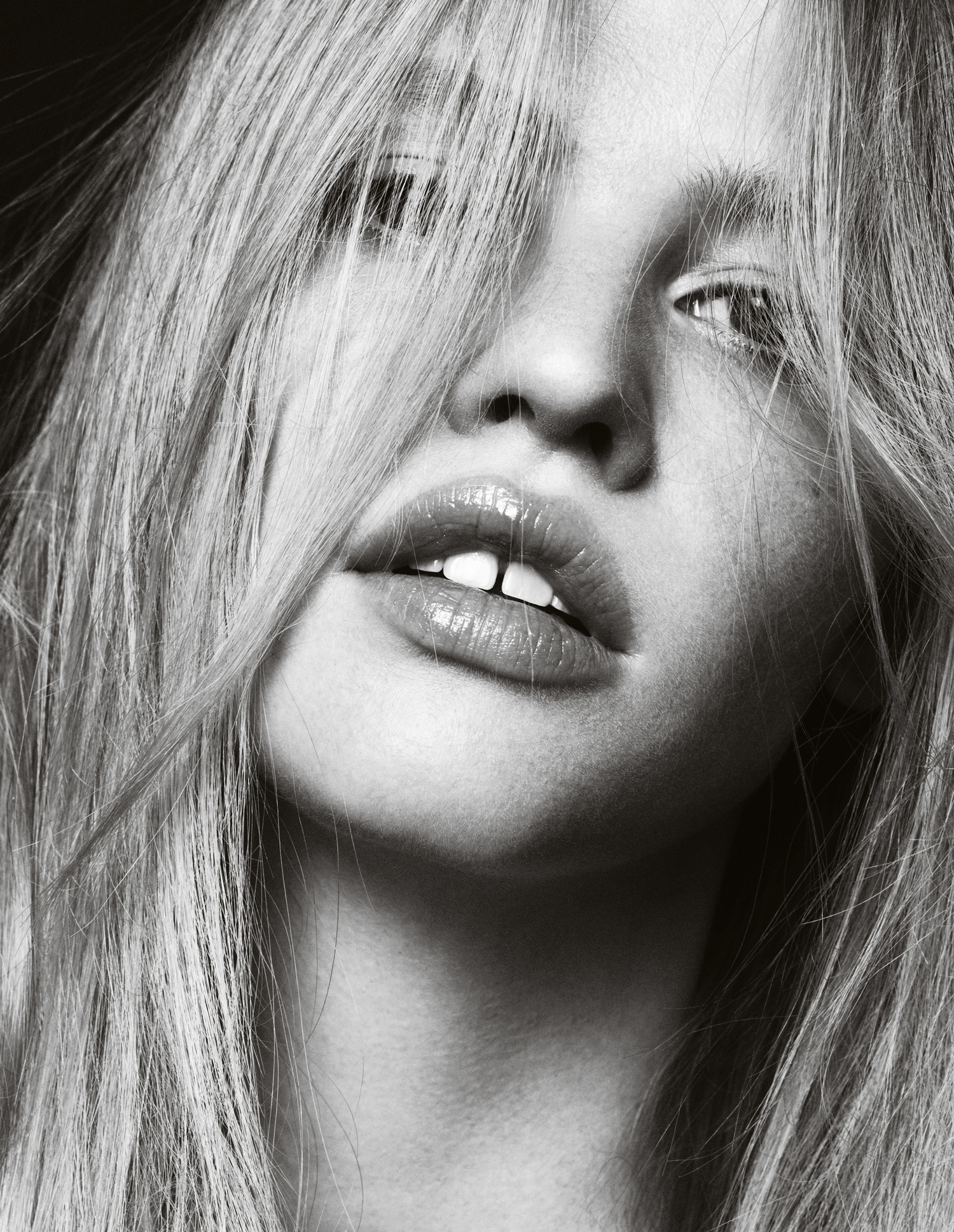nico bustos,lara stone nico bustos,lara stone