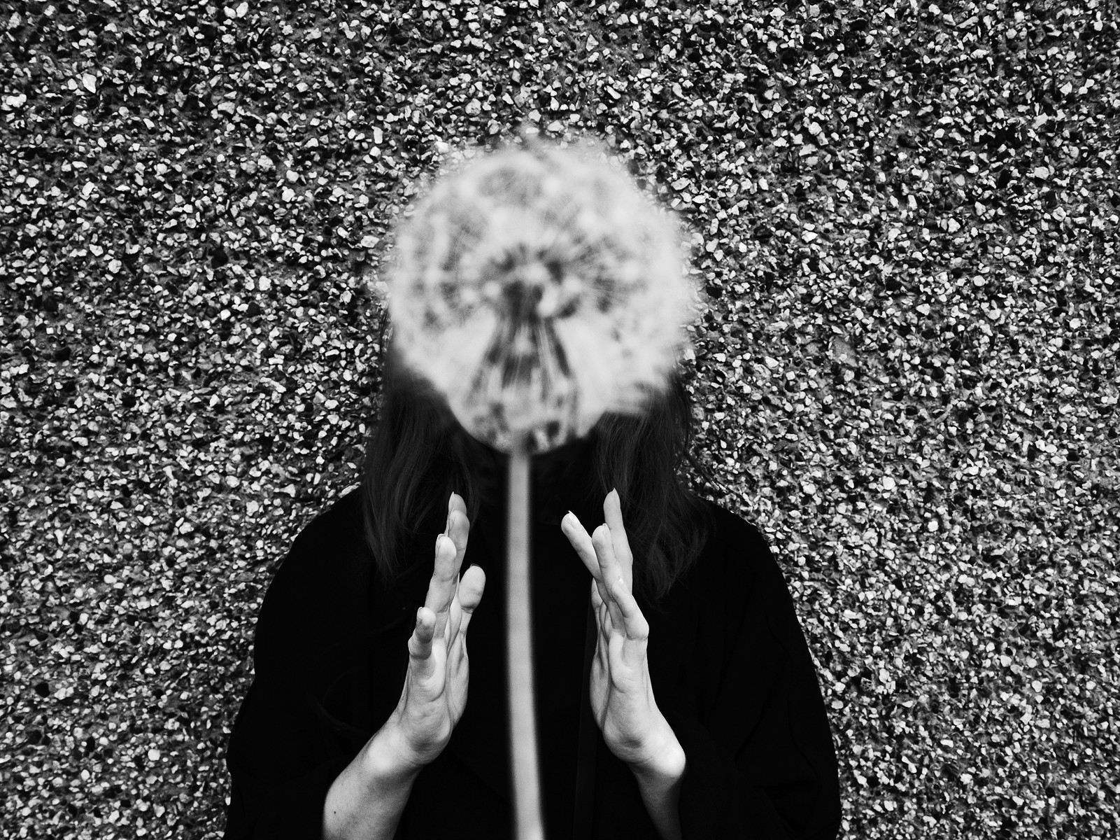 jack davison jack davison